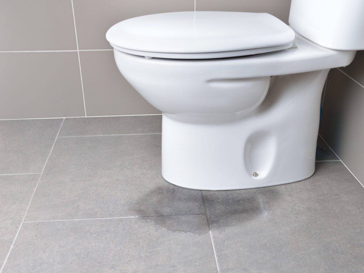 Leaking Toilet & Cistern